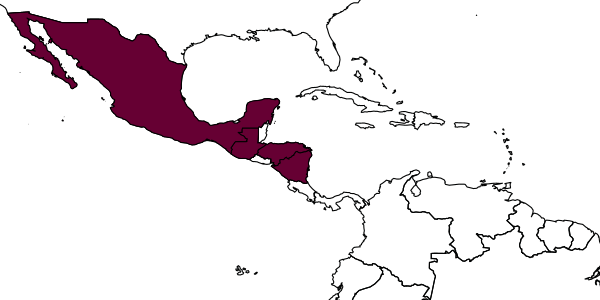 map of Adelomyrmex paratristani     Longino, 2012
